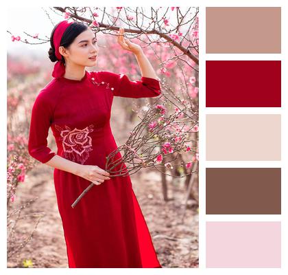 Peach Blossoms Woman Asian Clothing Image